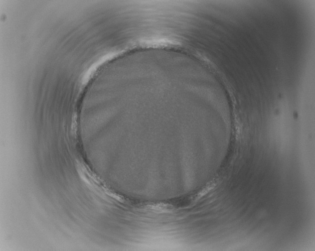 X0000051890583200507151941