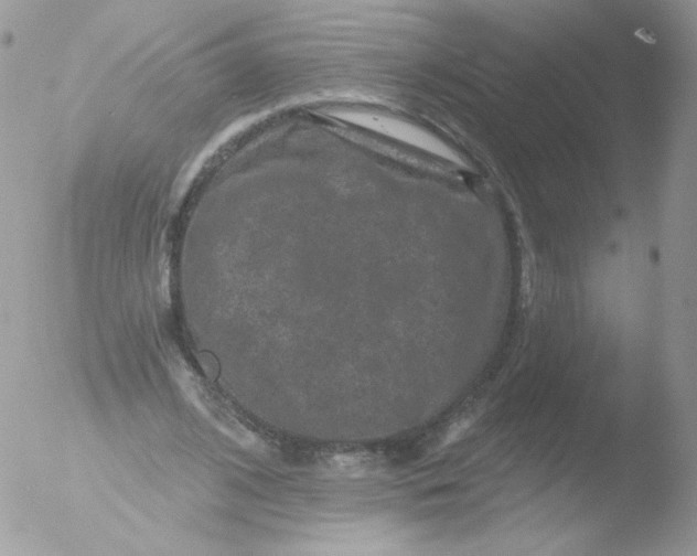 X0000051890584200507151941