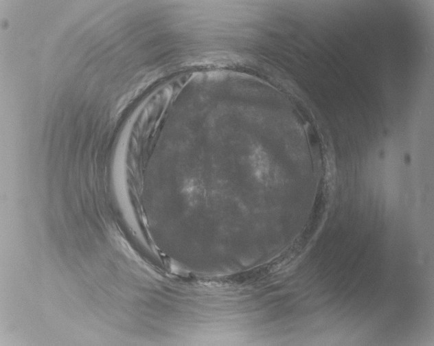 X0000051890585200507151941