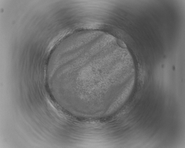 X0000051890586200507151941