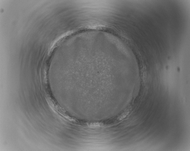 X0000051890587200507151941