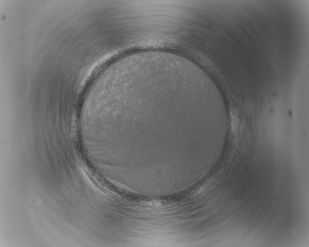 X0000051890588200507151941