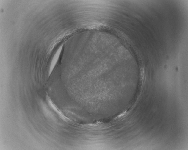 X0000051890589200507151941