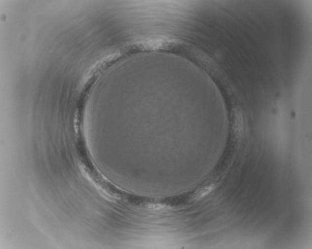 X0000051890590200507151941