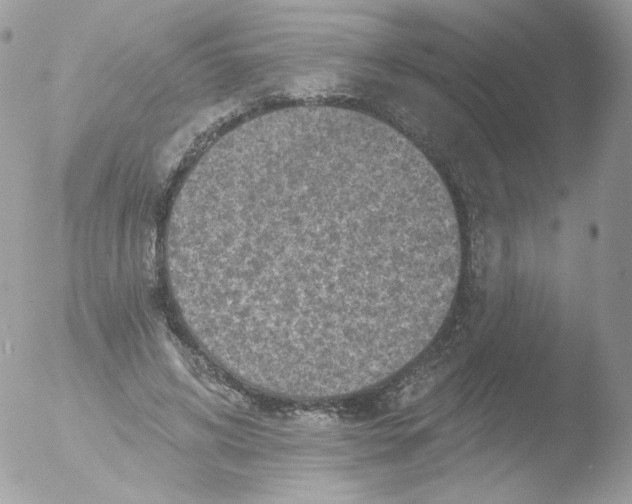 X0000051890592200507151941