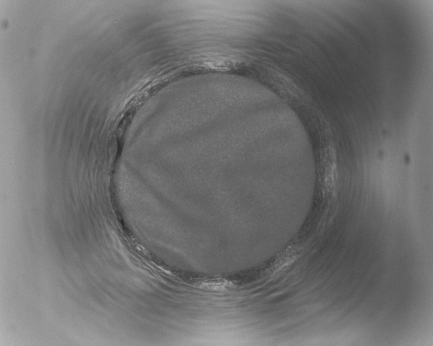 X0000051890595200507151941