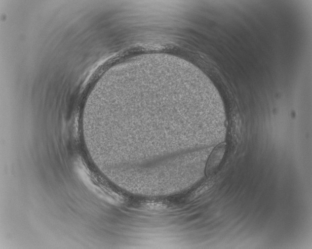 X0000051890596200507151941