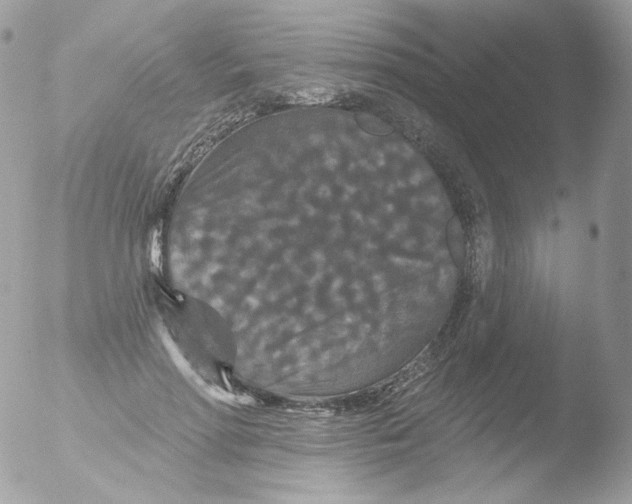 X0000051890598200507151940