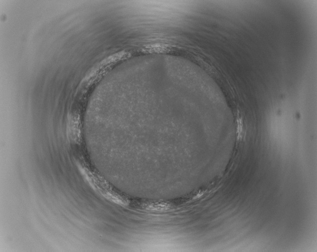 X0000051890599200507151940