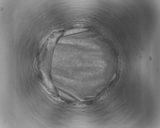 X0000051890601200507151940