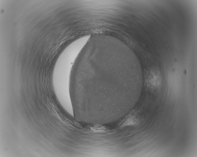 X0000051890603200507151940