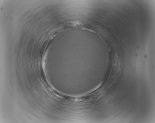 X0000051890607200507151940