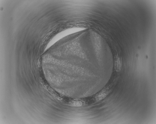 X0000051890608200507151940