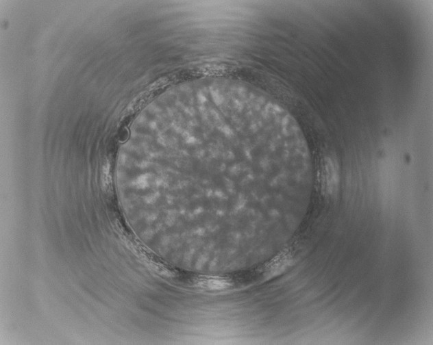 X0000051890610200507151940