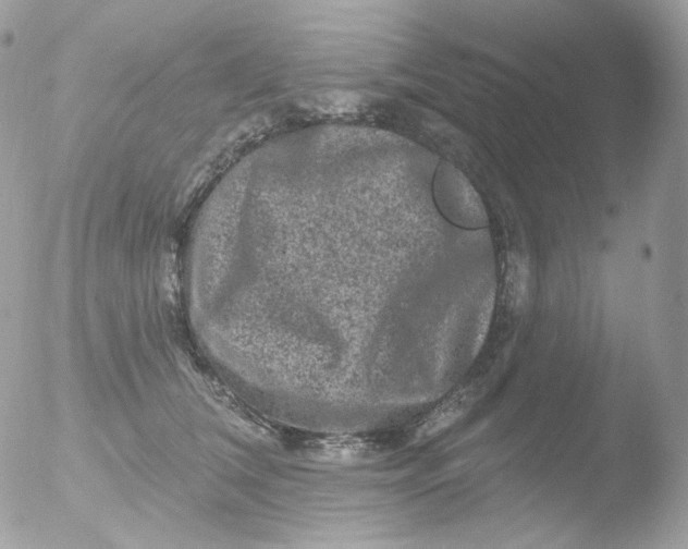 X0000051890612200507151940