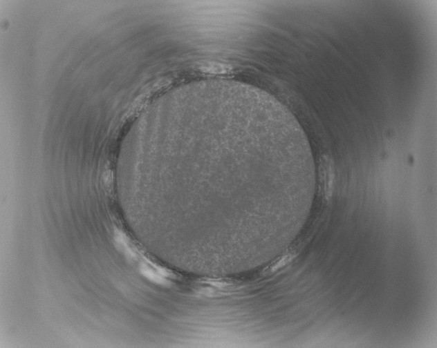 X0000051890614200507151940