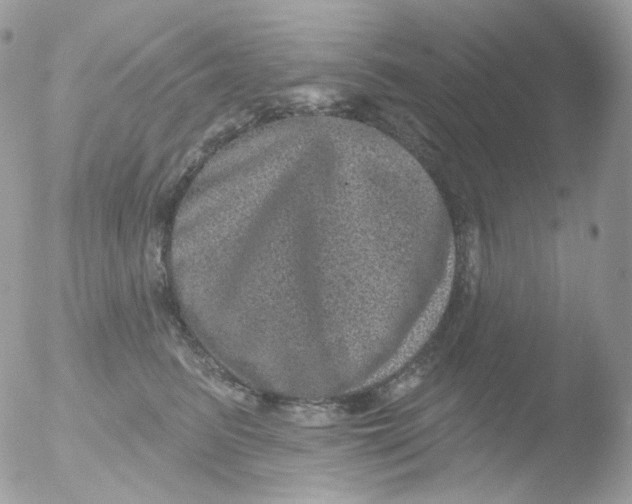 X0000051890615200507151940