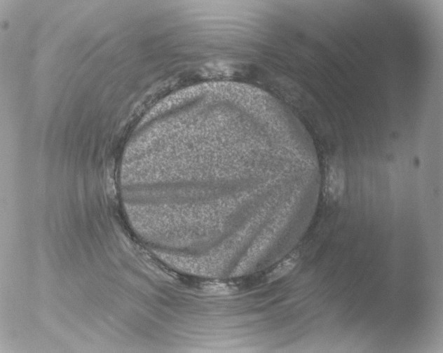 X0000051890616200507151940