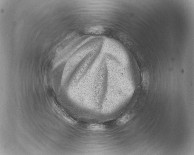 X0000051890617200507151940