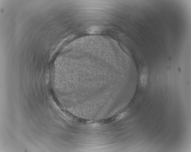 X0000051890620200507151940