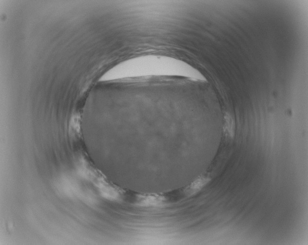 X0000051890621200507151940