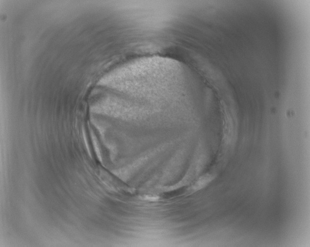 X0000051890624200507151940