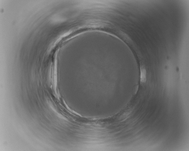 X0000051890627200507151939