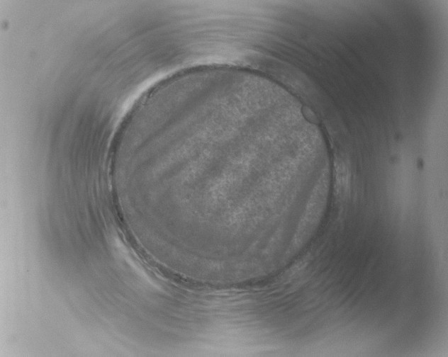 X0000051890628200507151939