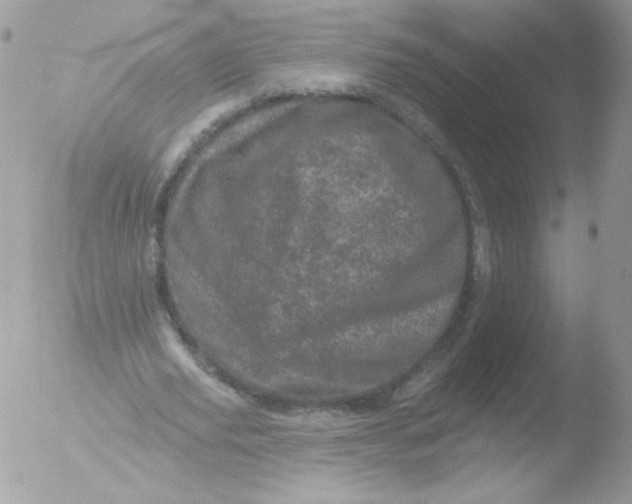 X0000051890629200507151939