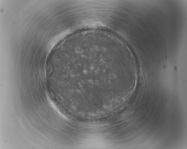 X0000051890630200507151939