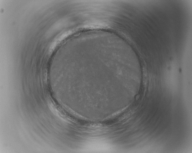 X0000051890631200507151939