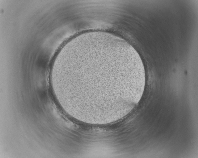 X0000051890632200507151939