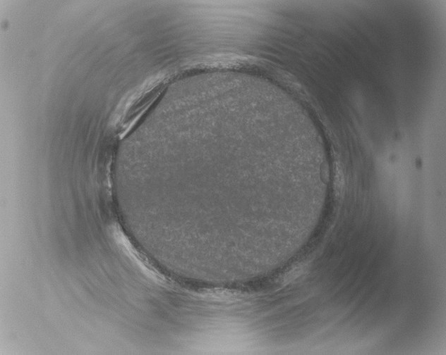 X0000051890633200507151939