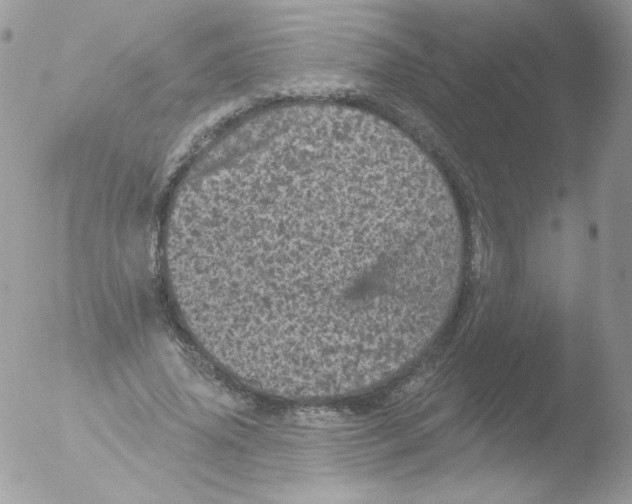 X0000051890636200507151939