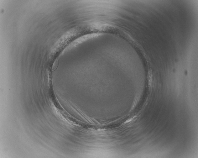 X0000051890637200507151939