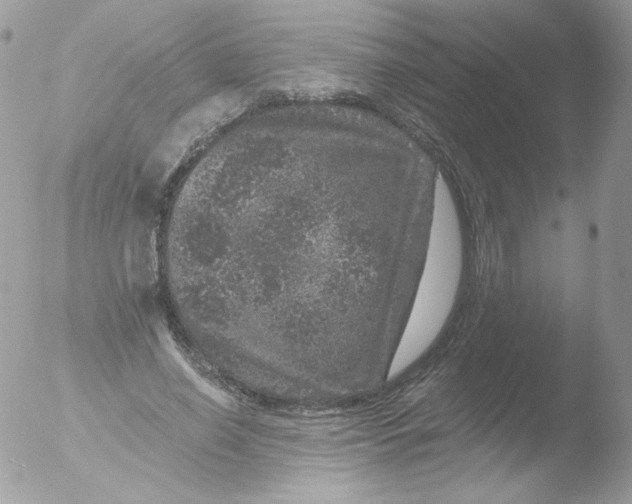 X0000051890638200507151939