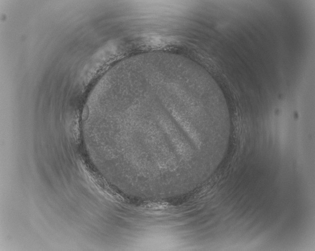 X0000051890642200507151940