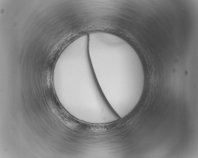 X0000051890644200507151940