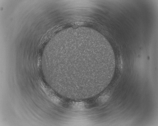 X0000051890645200507151940