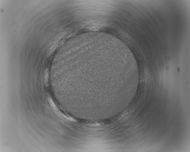 X0000051890646200507151940