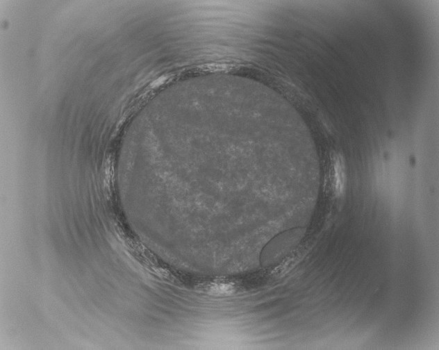 X0000051890647200507151940