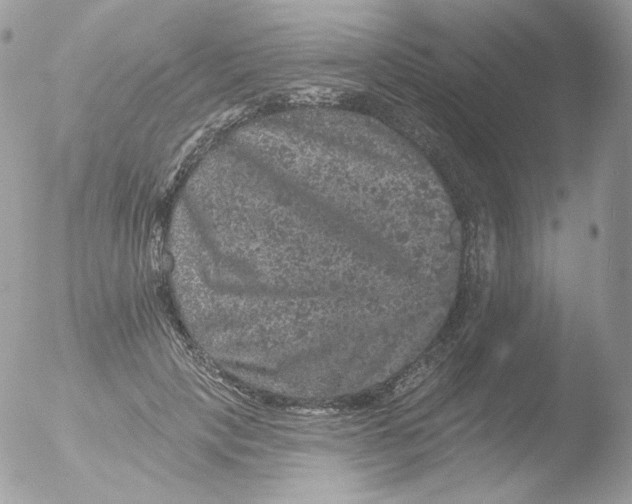 X0000051890649200507151940