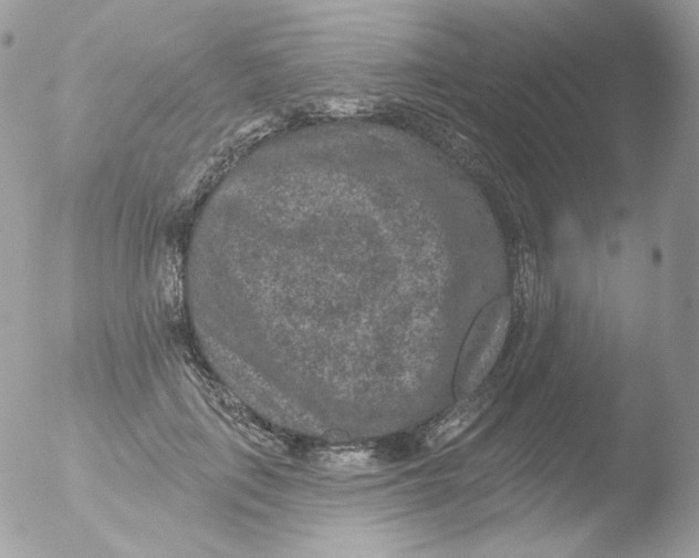 X0000051890651200507151940