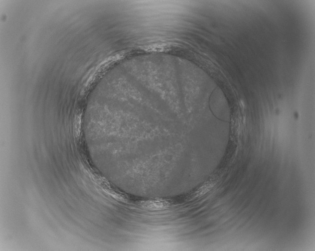 X0000051890652200507151940