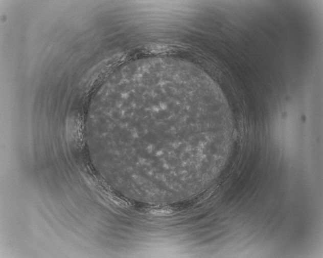 X0000051890653200507151940