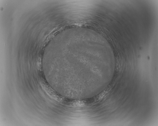 X0000051890656200507151940