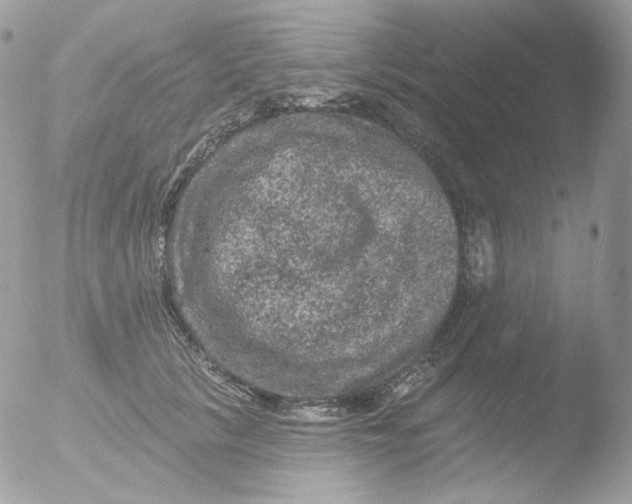 X0000051890657200507151940