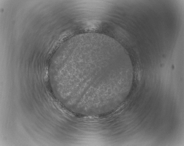 X0000051890660200507151940