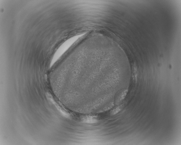 X0000051890664200507151940