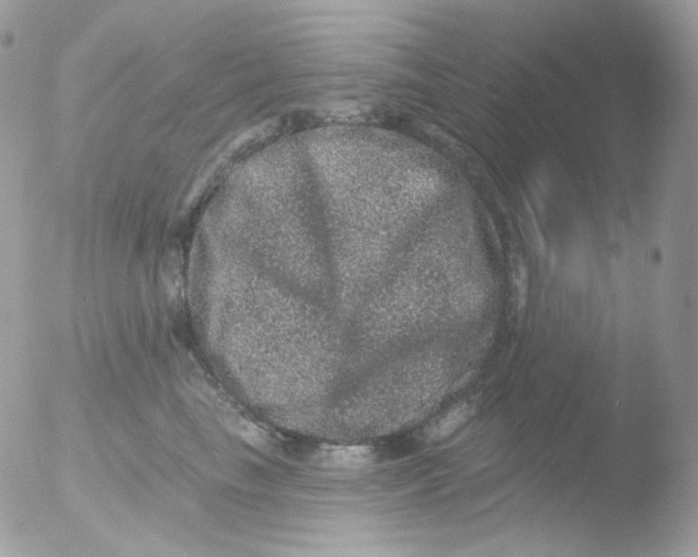 X0000051890665200507151940